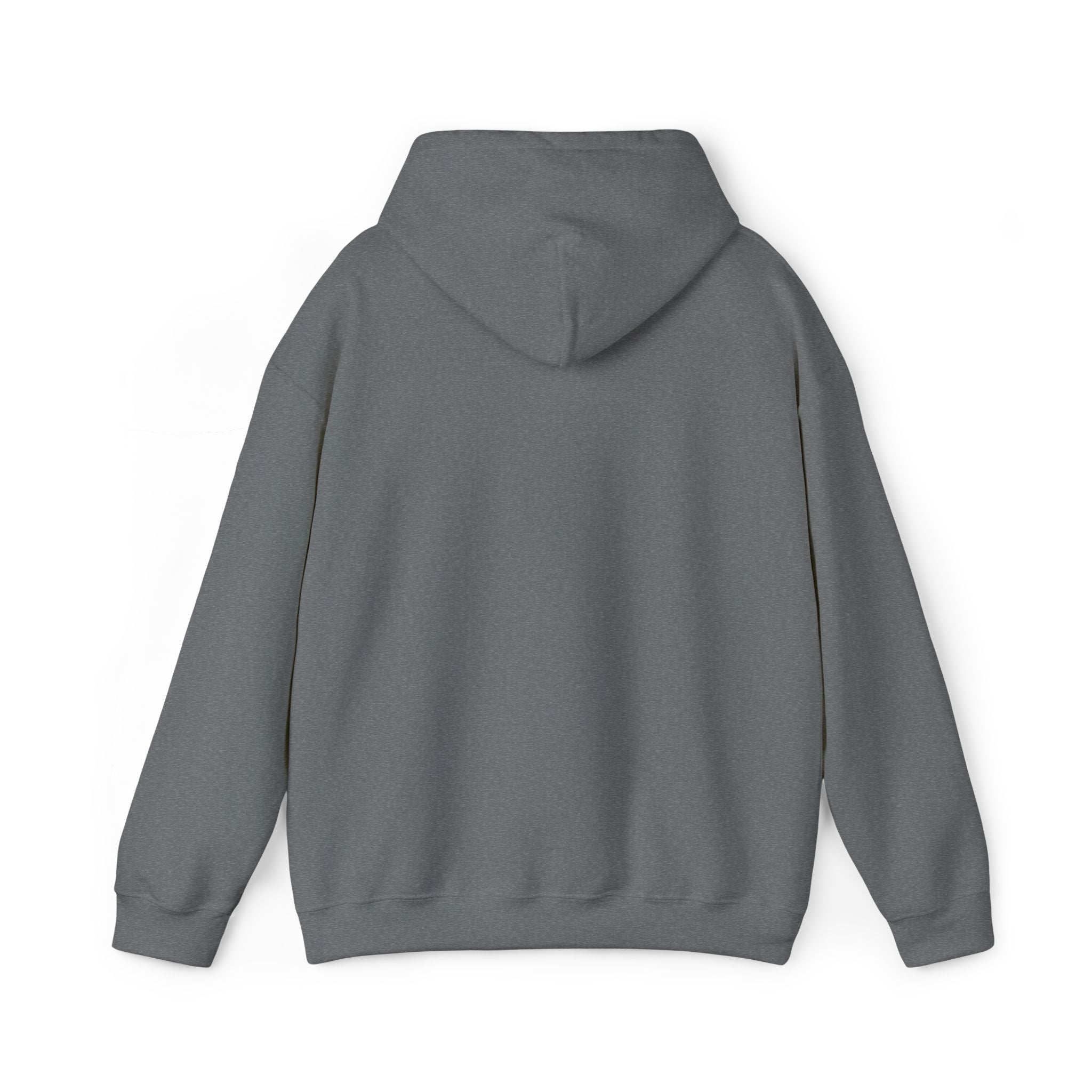 Ace'n Black Crest Embroidered Hoodie