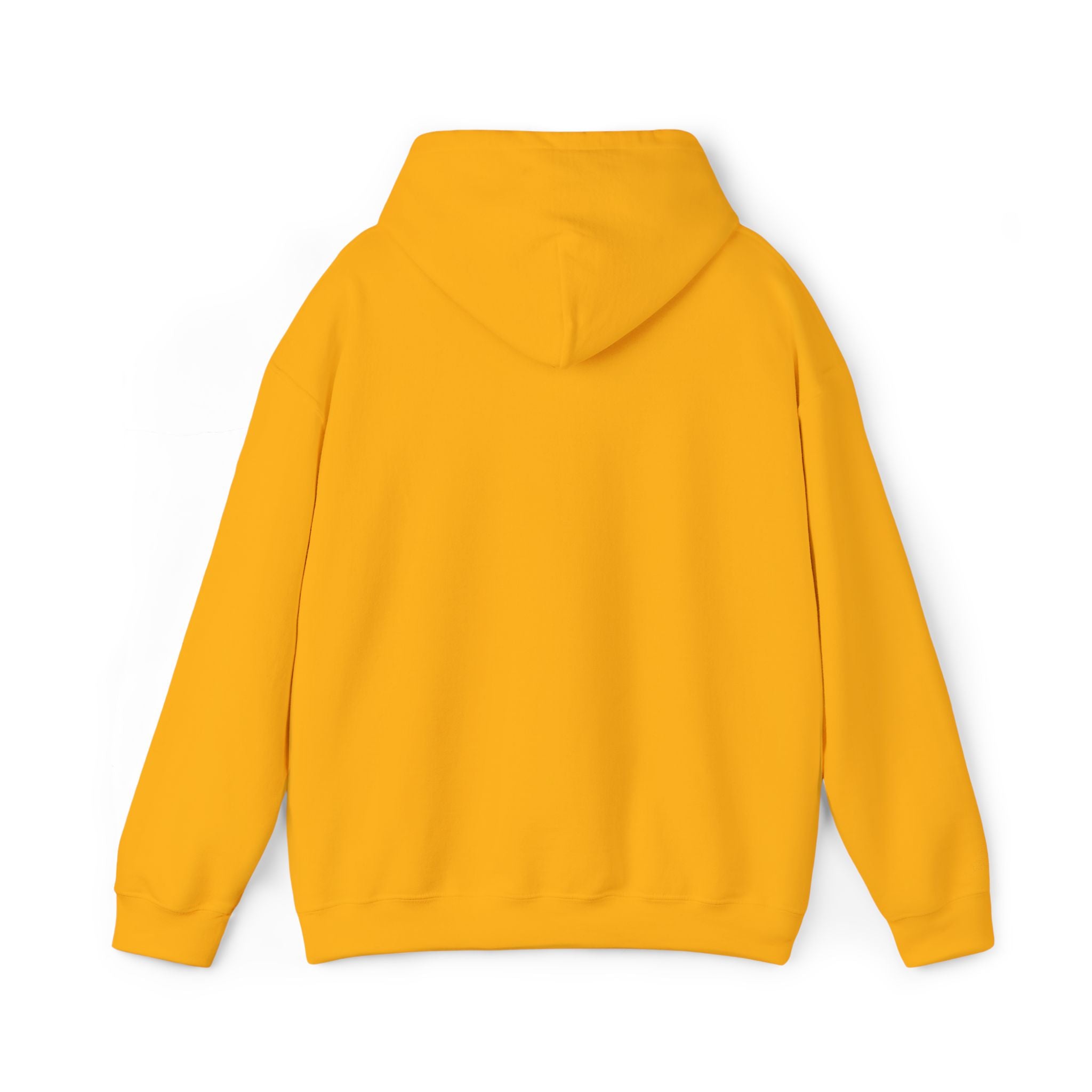 Ace'n Black Crest Embroidered Hoodie
